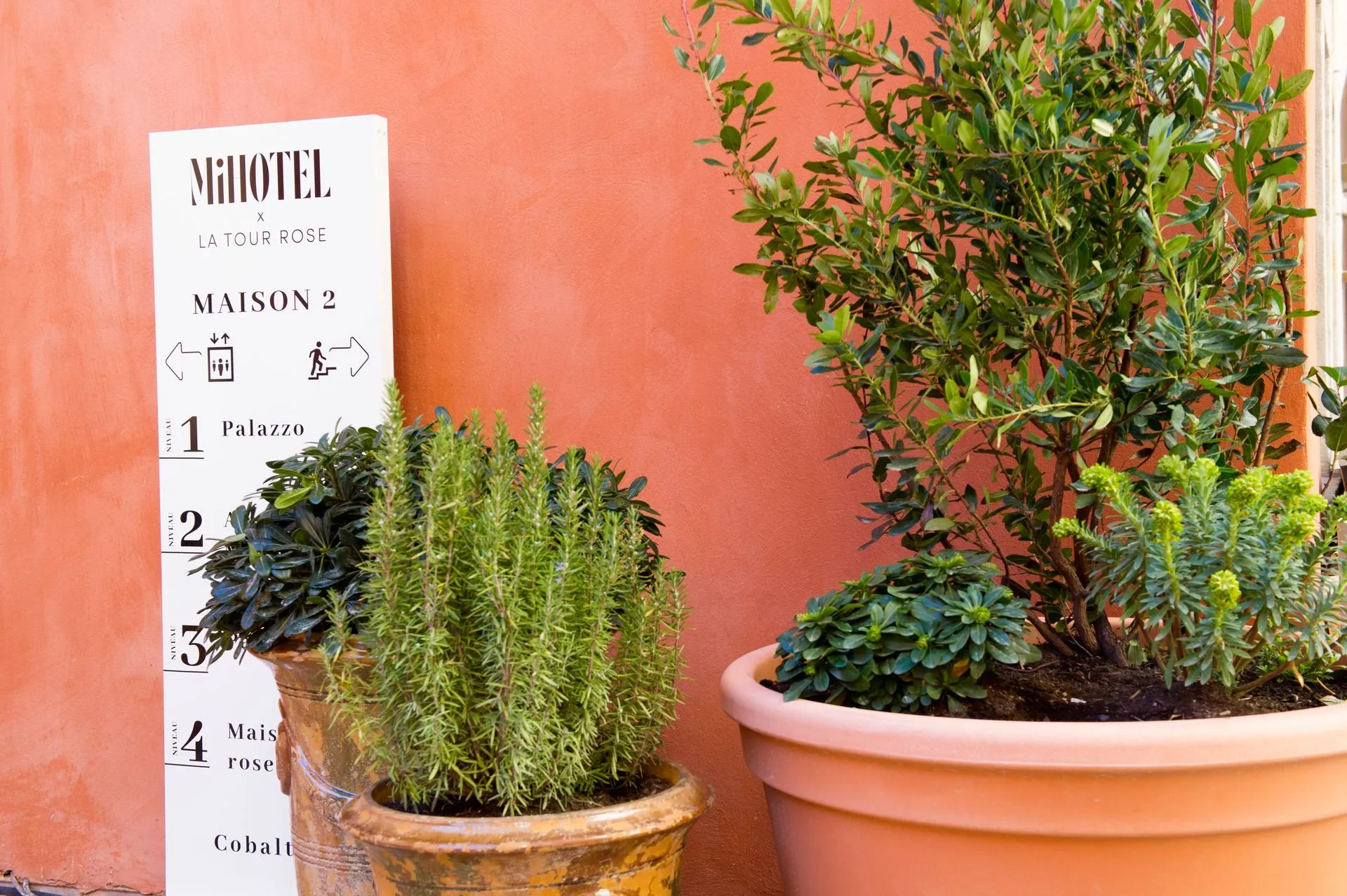 Rénovation de la tour rose food traboule à Lyon par 2B-Groupe