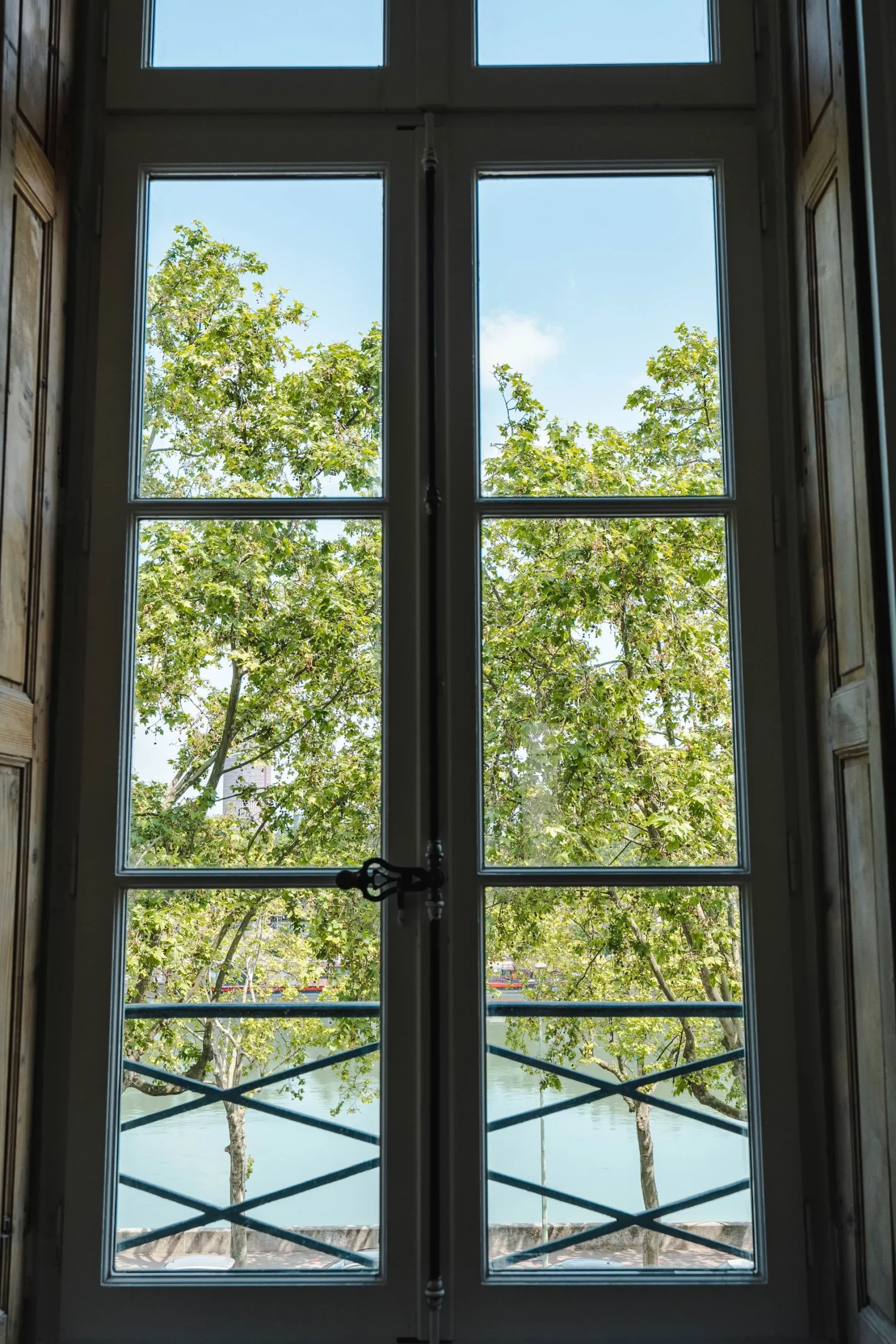 Transformation d'un appartement haussmannien à Lyon